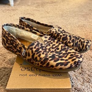 TOMS Classics Leopard
